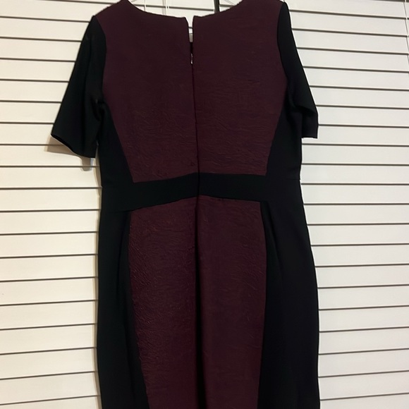Colour block fitted dress. - Picture 4 of 5